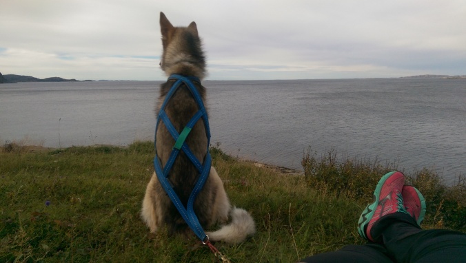 Hvilepulsfaktorer: Hunden, havet, turklær og god utsikt.